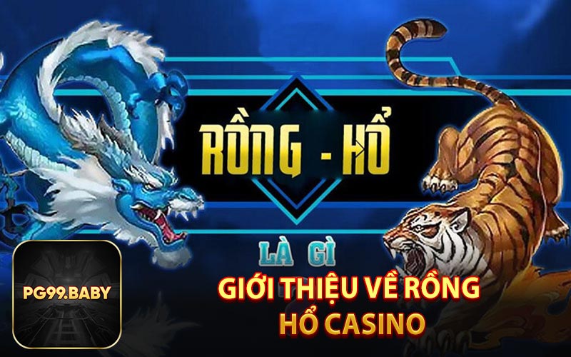 Giới thiệu về rồng hỗ casino